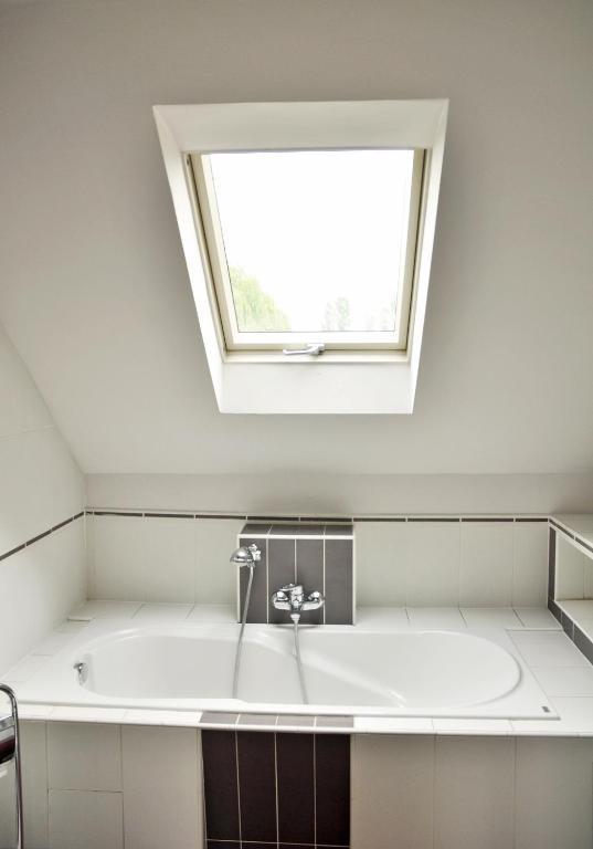 Park Apartment Krasków Dış mekan fotoğraf